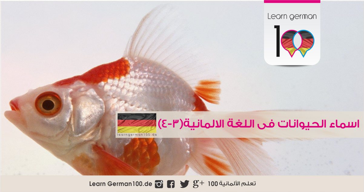 اسماء الحيوانات في اللغة الالمانية (3-4)