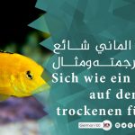 تعبير الماني شائع مع ترجمته ومثال Sich wie ein Fisch auf dem trockenen fühlen