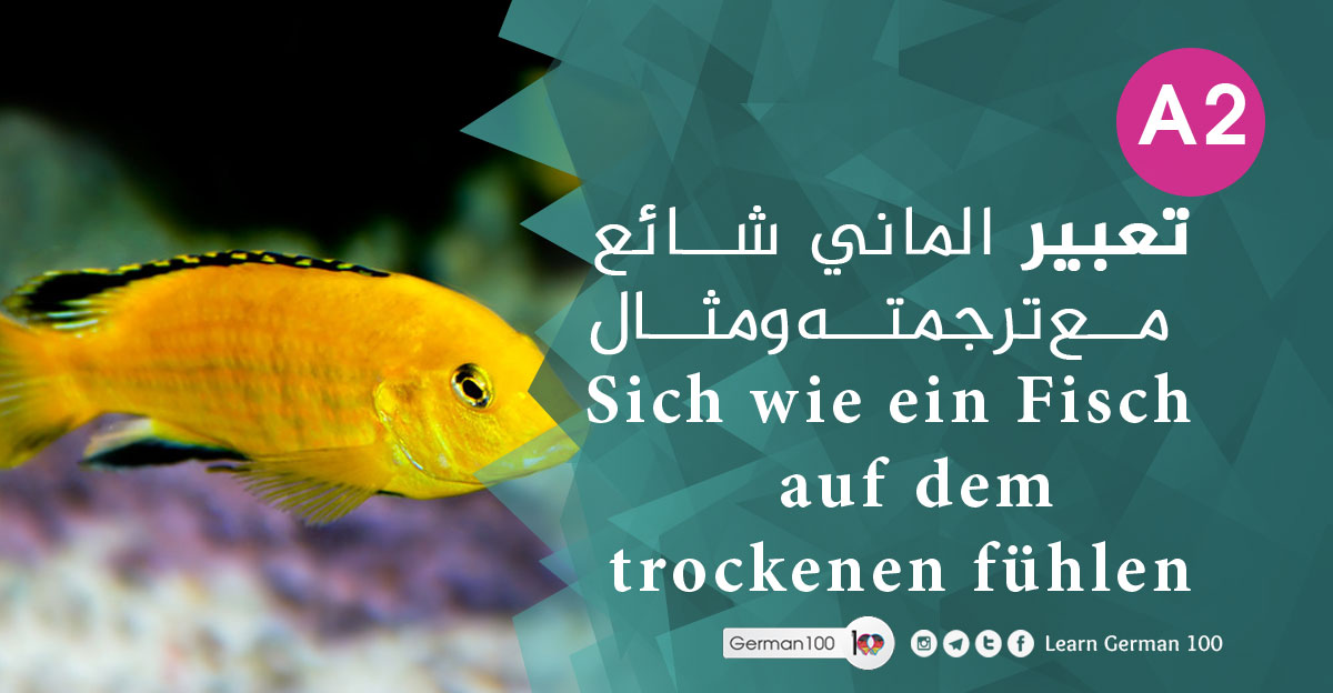 تعبير الماني شائع مع ترجمته ومثال Sich wie ein Fisch auf dem trockenen fühlen Sich wie ein Fisch auf dem 1 1 3 تعلم اللغة الالمانية