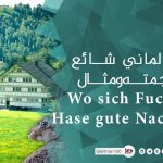 تعبير الماني شائع مع ترجمته ومثال Wo sich Fuchs und Hase gute Nacht sagen