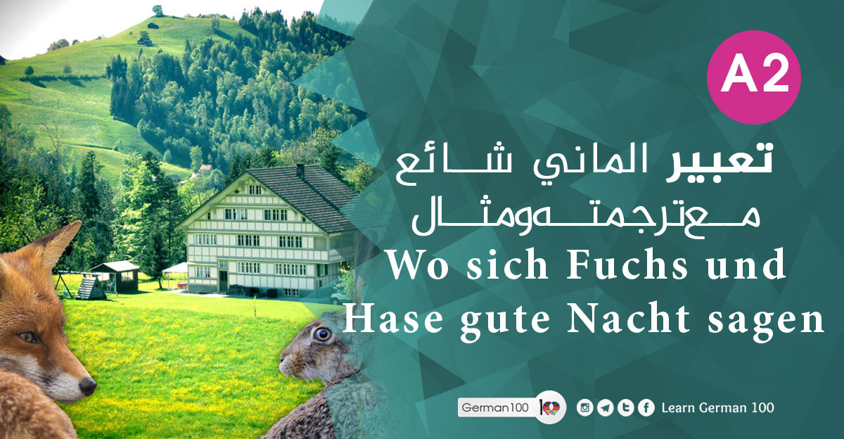 Wo-sich-Fuchs-und-Hase-gute