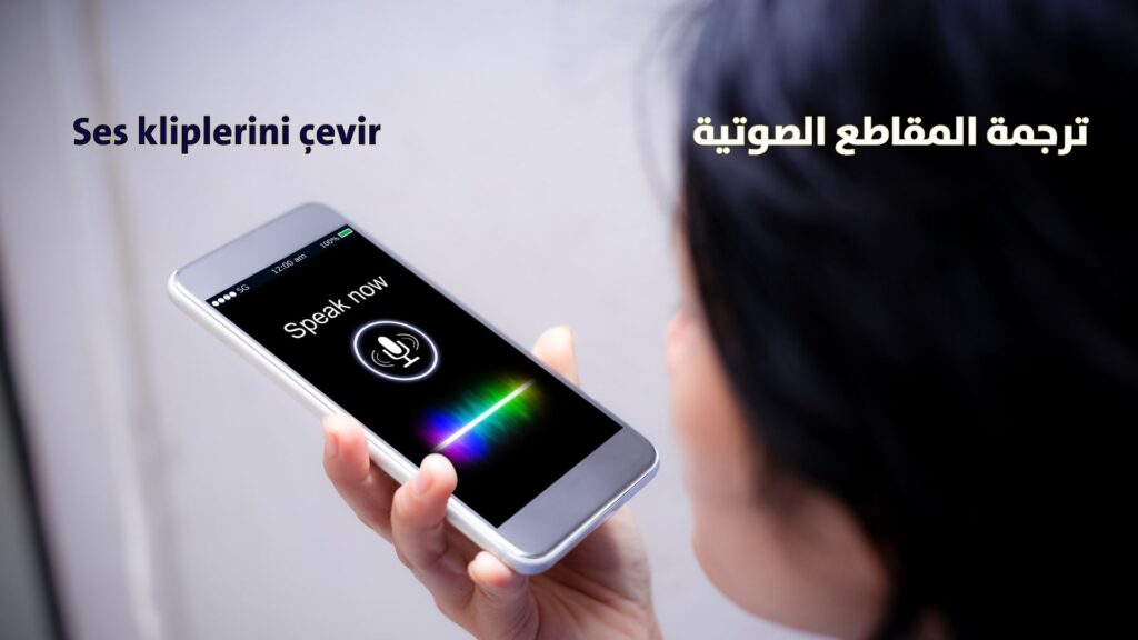 Sprachübersetzungsdienste